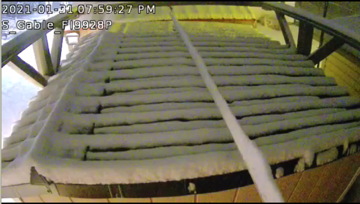 Screen Shot 2021-01-31 at 7.59.28 PM.png